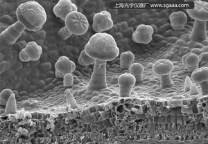 �ں��Ҙ��~