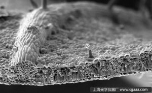 �ں��Ҙ��~