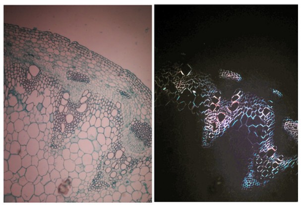 ƫ���@΢�R��(b��o)�r(ji��)