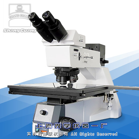 芯片檢查顯微鏡8XB
