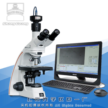 �@΢���۵ȼ�����ϵ�yYP-2