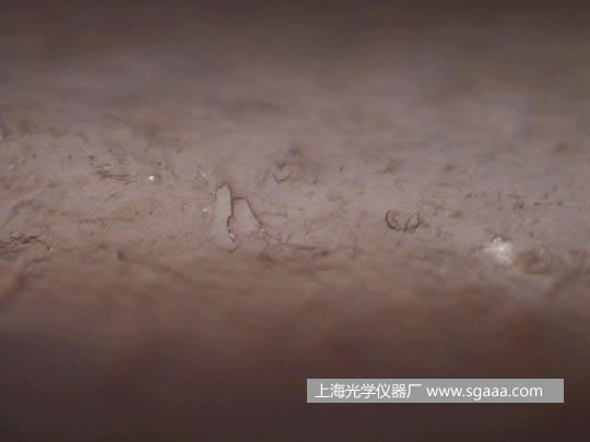 顯微鏡下看被燙、染后損傷的頭發