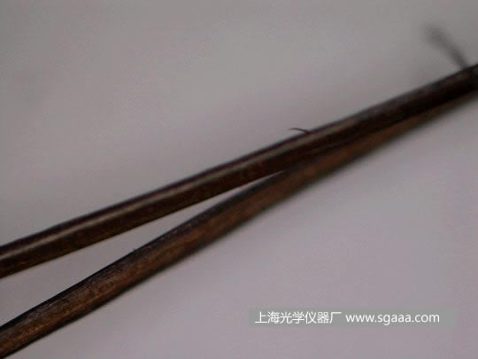 顯微鏡下看被燙、染后損傷的頭發