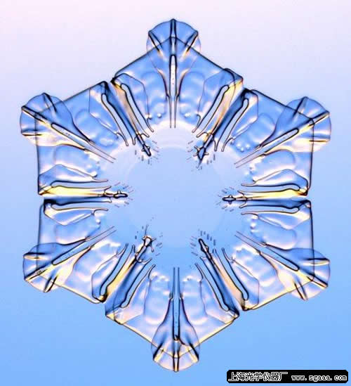 �@΢�R�µ�ѩ����7