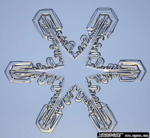 �@΢�R�µ�ѩ����8