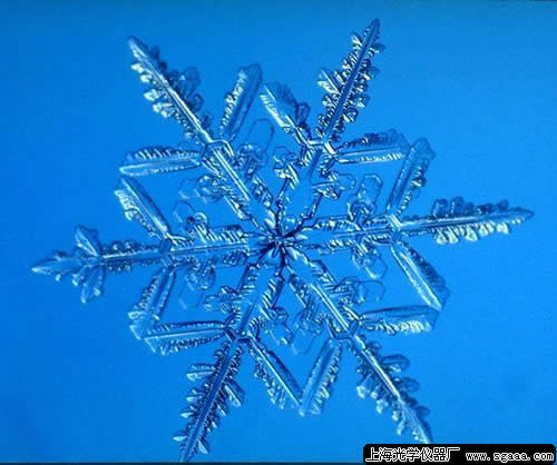 �@΢�R�µ�ѩ����9